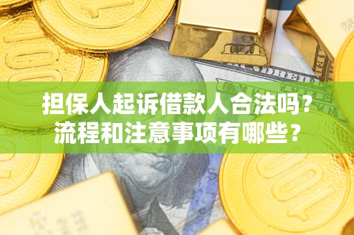 北京担保人起诉借款人合法吗？流程和注意事项有哪些？