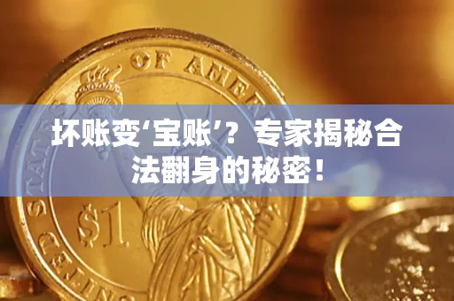 北京坏账变‘宝账’？专家揭秘合法翻身的秘密！
