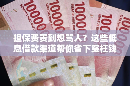 北京担保费贵到想骂人？这些低息借款渠道帮你省下冤枉钱