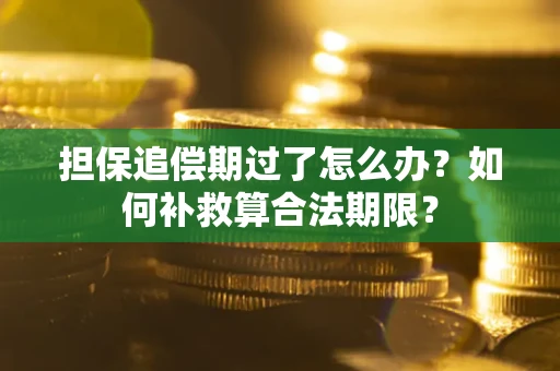 北京担保追偿期过了怎么办？如何补救算合法期限？