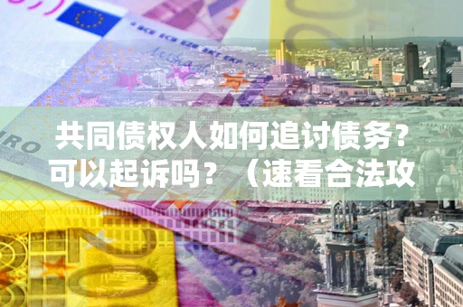 北京共同债权人如何追讨债务？可以起诉吗？（速看合法攻略）