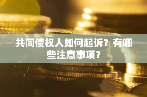 北京共同债权人如何起诉？有哪些注意事项？